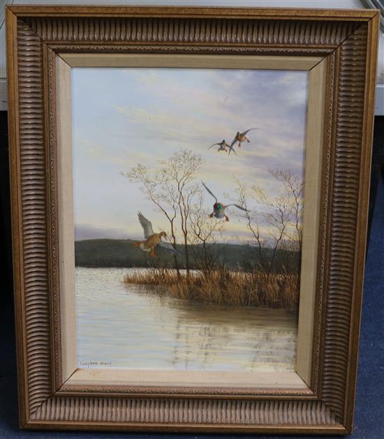 Geoffrey Campbell-Black Lake scenes with mallards, 14 x 18in. and 16 x 12in.